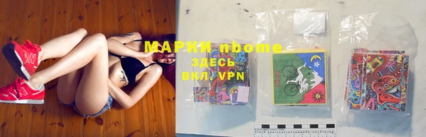 хмурый Алексин