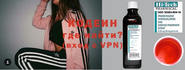 хмурый Алексин