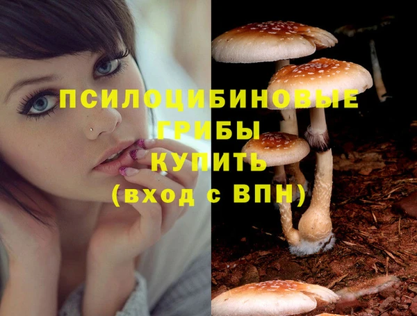 хмурый Алексин
