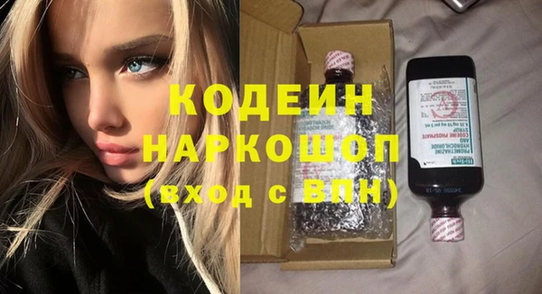 хмурый Алексин