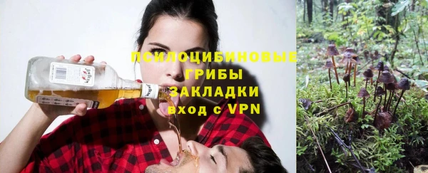 твердый Алексеевка