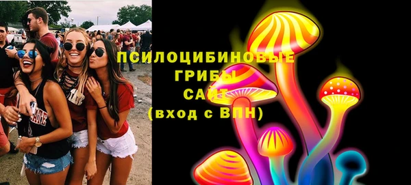 хмурый Алексин
