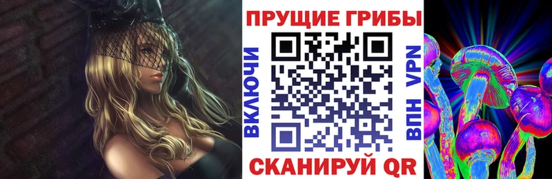 Галлюциногенные грибы Psilocybe Арск